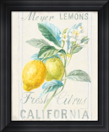 Framed Floursack Lemon II Print