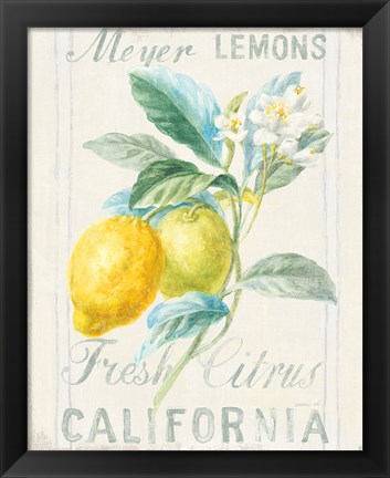 Framed Floursack Lemon II Print