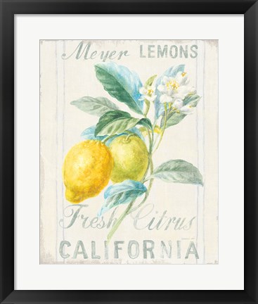 Framed Floursack Lemon II Print