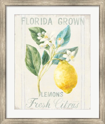 Framed Floursack Lemon I Print