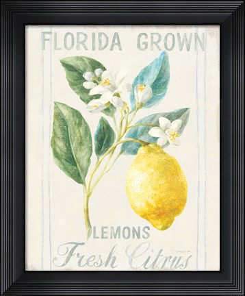 Framed Floursack Lemon I Print