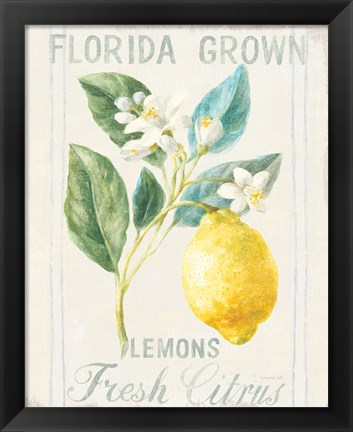 Framed Floursack Lemon I Print