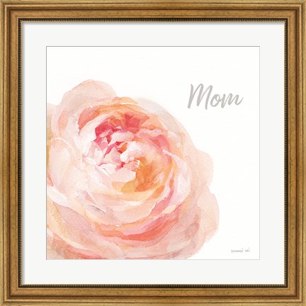 Framed Garden Rose on White Crop II Mom Print