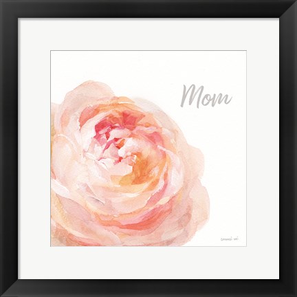 Framed Garden Rose on White Crop II Mom Print