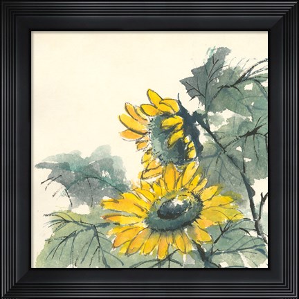 Framed Sunflower II Print