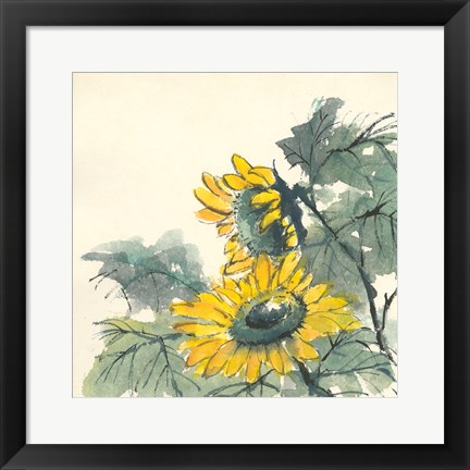 Framed Sunflower II Print