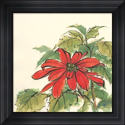 Framed Poinsettia I Print