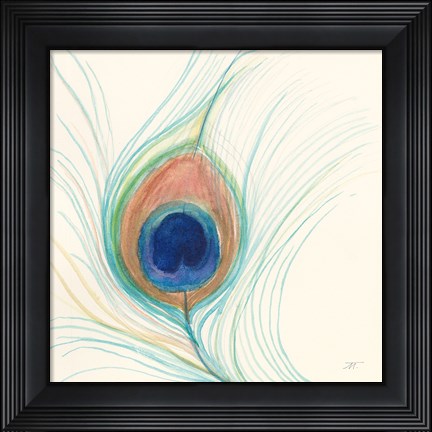 Framed Peacock Feather II Print