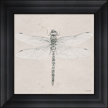 Framed Soft Summer Sketches VI Print