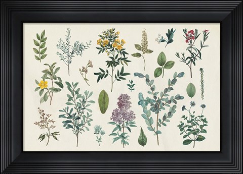 Framed Victorian Garden IV Print