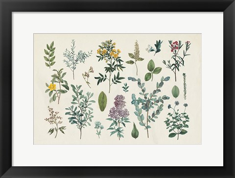 Framed Victorian Garden IV Print