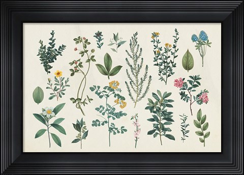 Framed Victorian Garden III Print