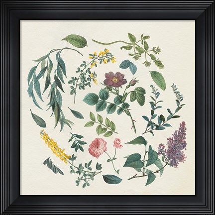 Framed Victorian Garden I Print