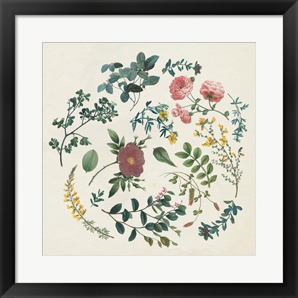 Framed Victorian Garden II Print