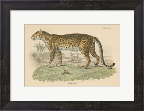 Framed Vintage Leopard Print