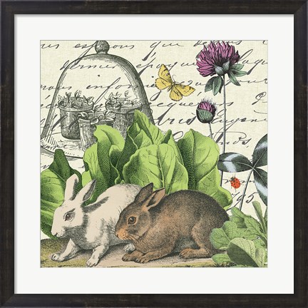 Framed Garden Rabbit II Print