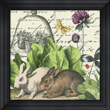 Framed Garden Rabbit II Print