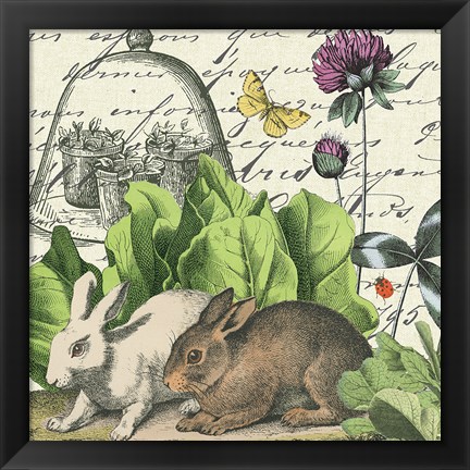 Framed Garden Rabbit II Print