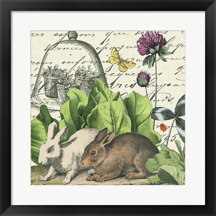 Framed Garden Rabbit II Print