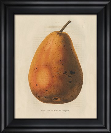 Framed Pierpont v2 Print