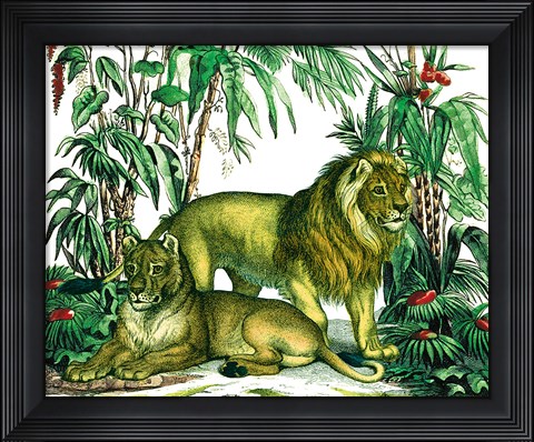 Framed Jungle Flair VI Print