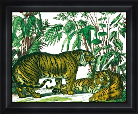Framed Jungle Flair V Print