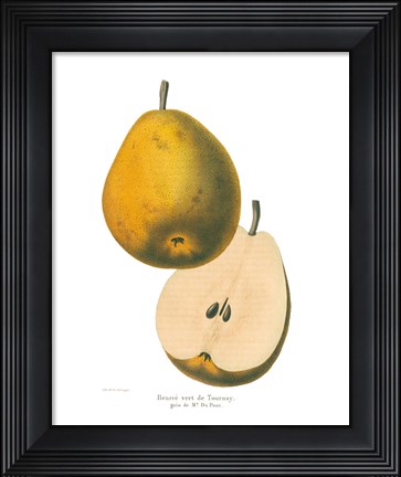 Framed Tournay on White Print