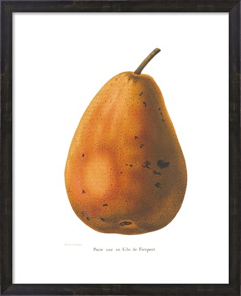 Framed Pierpont on White Print