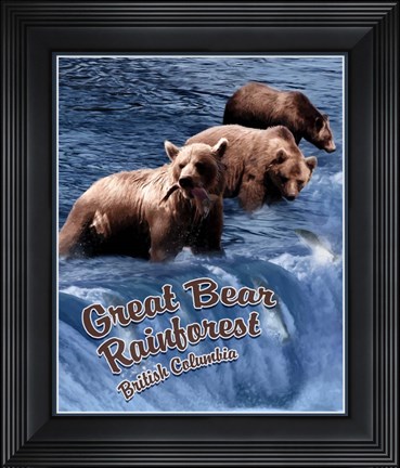 Framed Great Bear Rainforest Print