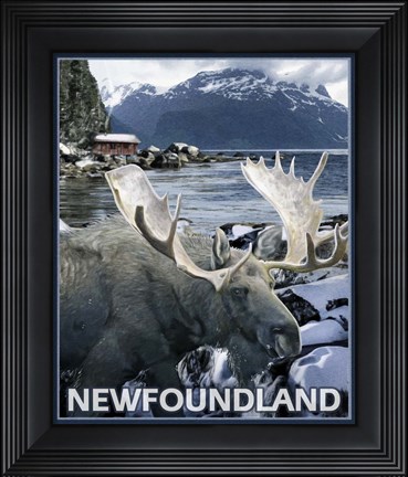 Framed New Foundland Print