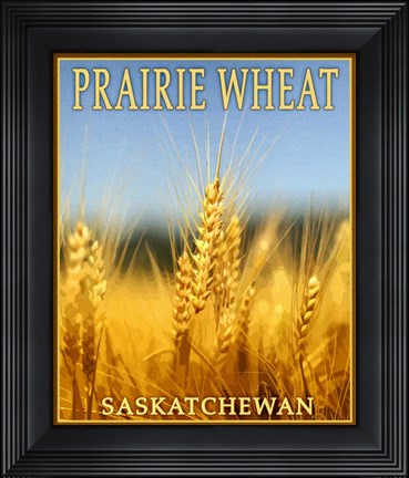 Framed Praire Wheat, Print