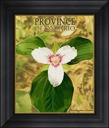 Framed Province Ontario Print