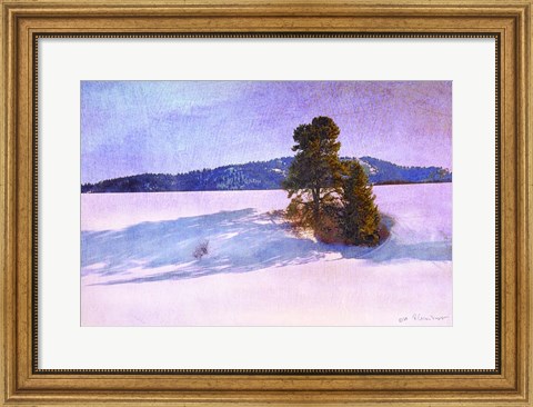 Framed Snow Shadows Print