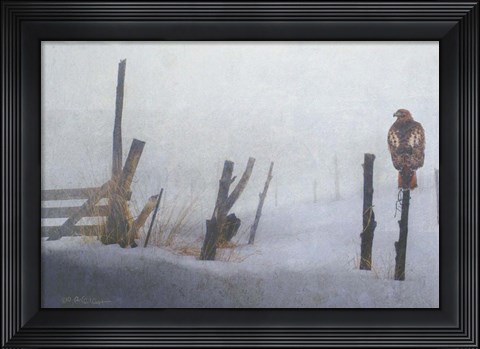 Framed Foggy Fence Redtail Print