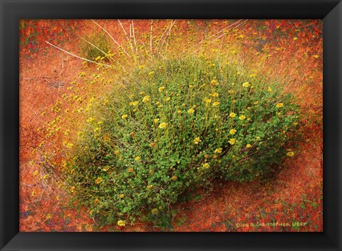 Framed Yellow Flowers Orange Sand Print