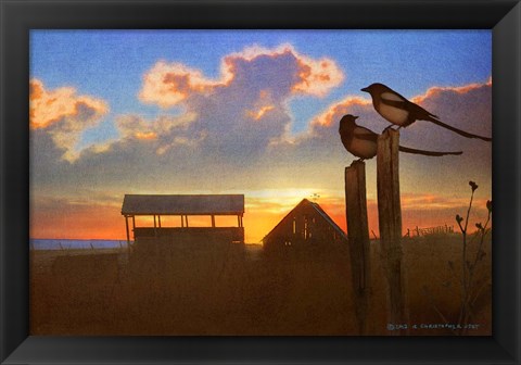 Framed Magpies At Sunset Print