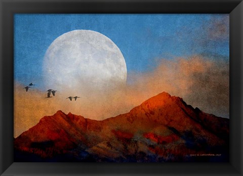 Framed Ibis Moon Print
