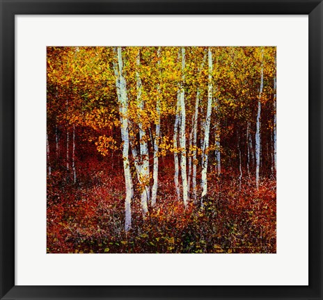 Framed Aspen Forest Above Kelly Print