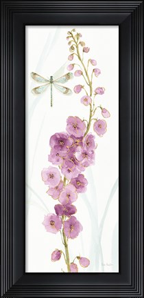 Framed Rainbow Seeds Flowers VII Dragonfly Print