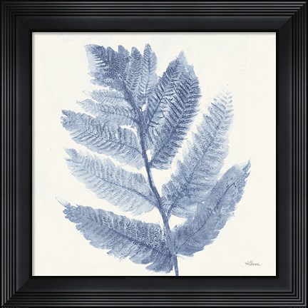 Framed Forest Ferns I Blue Print