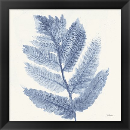 Framed Forest Ferns I Blue Print