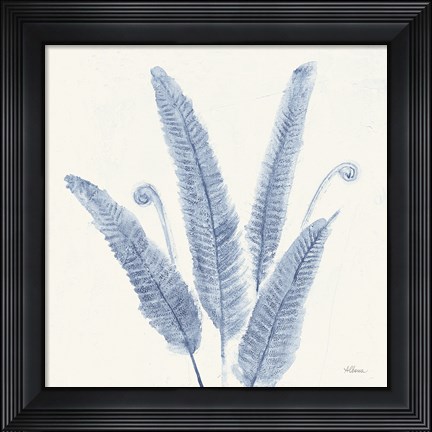 Framed Forest Ferns II v2 Blue Print