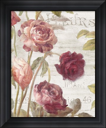 Framed French Roses II Print