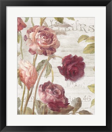 Framed French Roses II Print