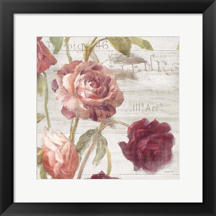 Framed French Roses IV Print