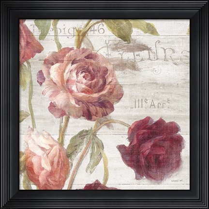 Framed French Roses IV Print