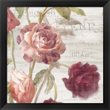 Framed French Roses IV Print