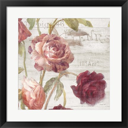 Framed French Roses IV Print