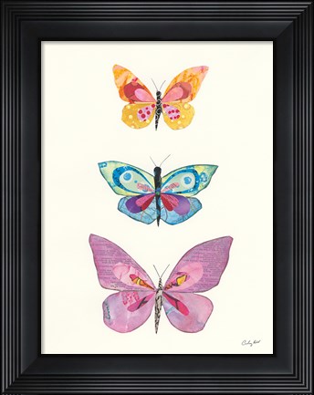 Framed Butterfly Charts III Print