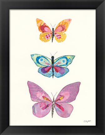 Framed Butterfly Charts III Print